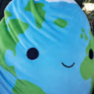 Meet your Posher, Gescina